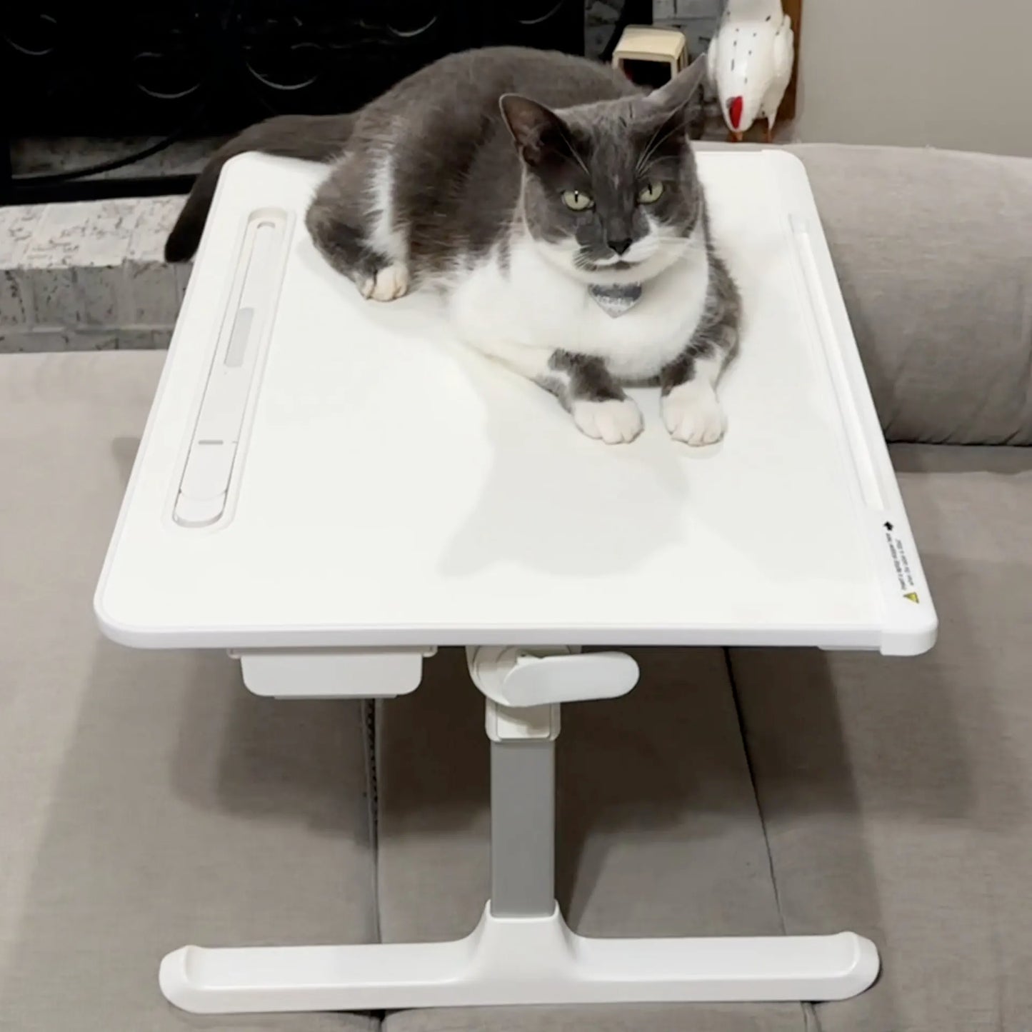 FlexWork™ Elevated Desk